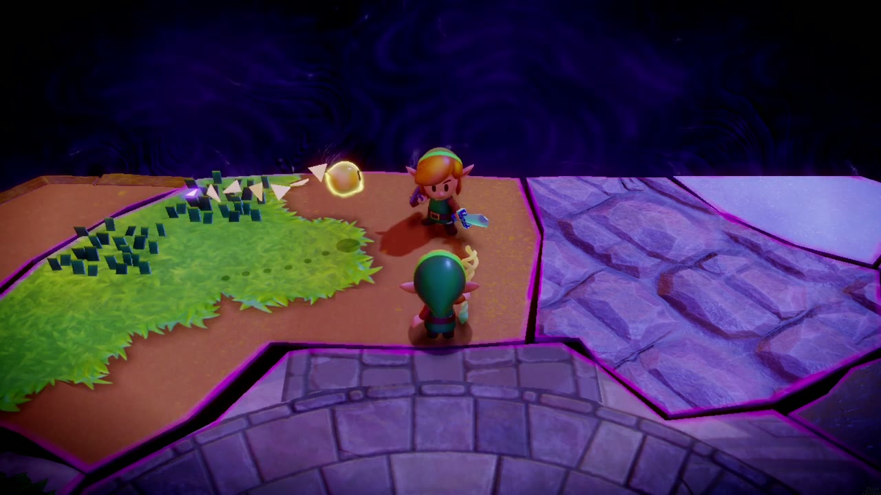 The Eternal Forest - The Legend of Zelda: Echoes of Wisdom Walkthrough 91 Link, now holding his sword, stands ready beside Zelda before the way into Null's Body opens.