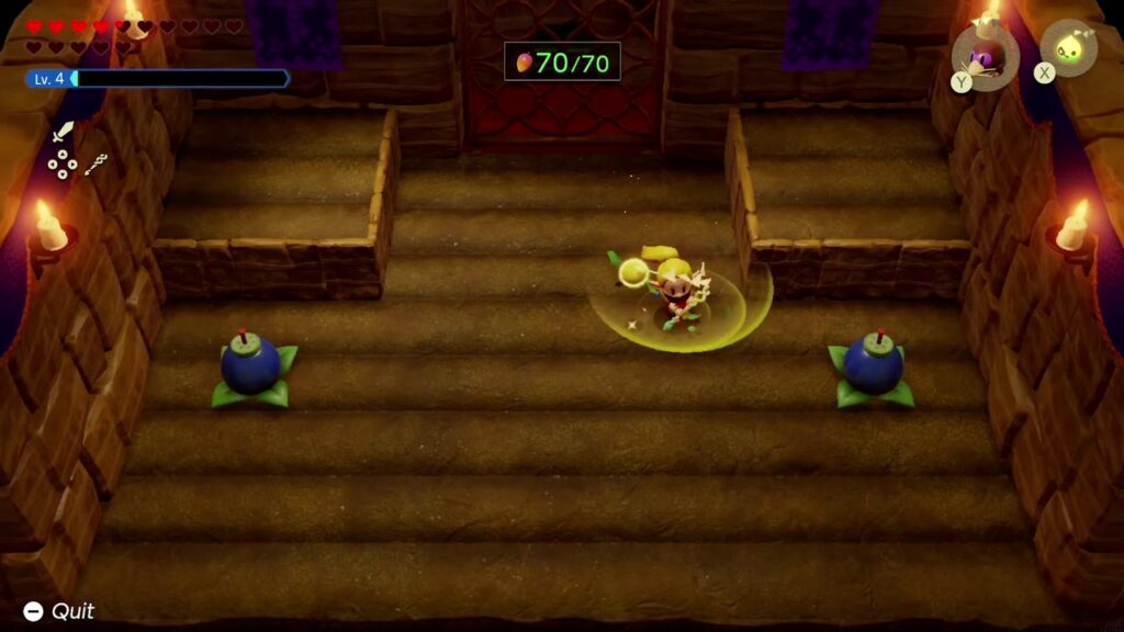 Zelda wirbelt durch das Feld mit dem ultimativen Mango-Samen, der Zähler steht bei 70 von 70.