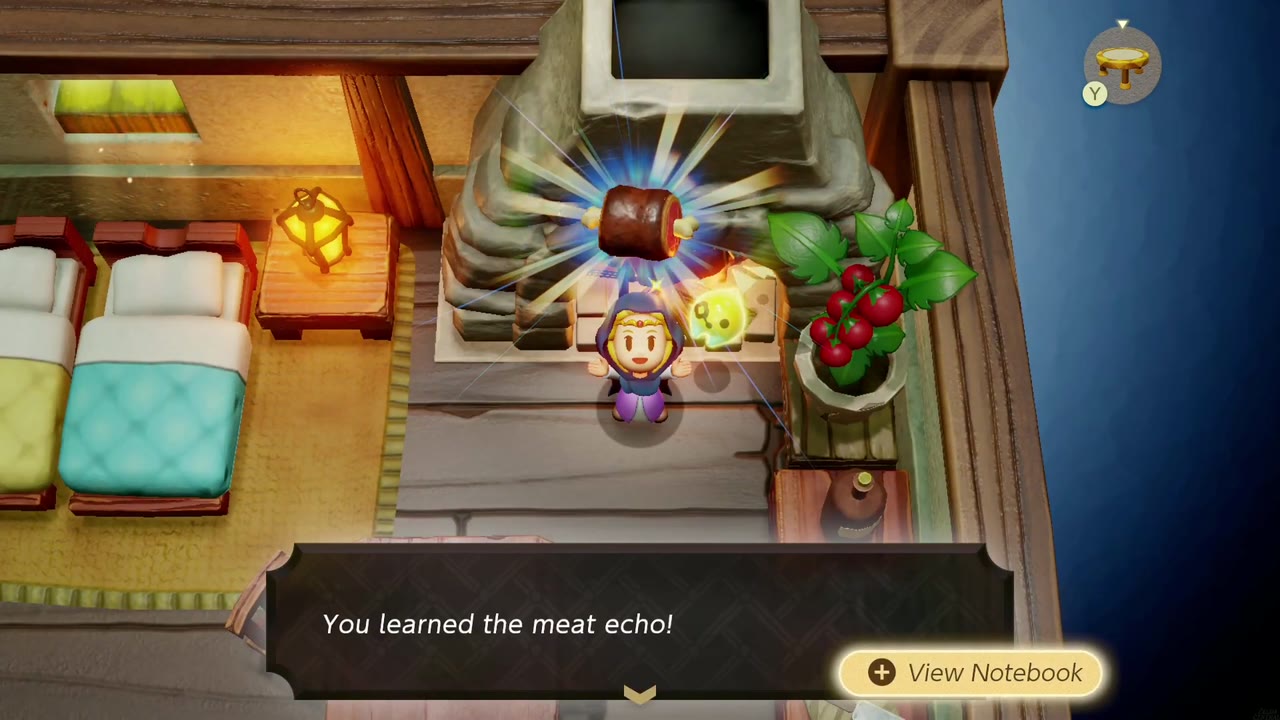Zelda aprende o Eco da Carne ao assar carne na lareira de uma casa de campo na Vila Suthorn. Zelda aprende o Eco da Carne ao assar carne na lareira de uma casa de campo na Vila Suthorn.