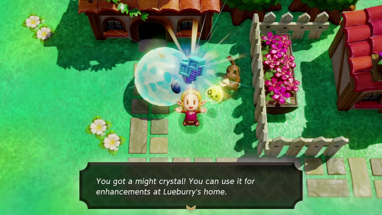 Beside a garden fence in Castle Town, Zelda holds a might crystal overhead next to a huge Hydrozol; reward box below
