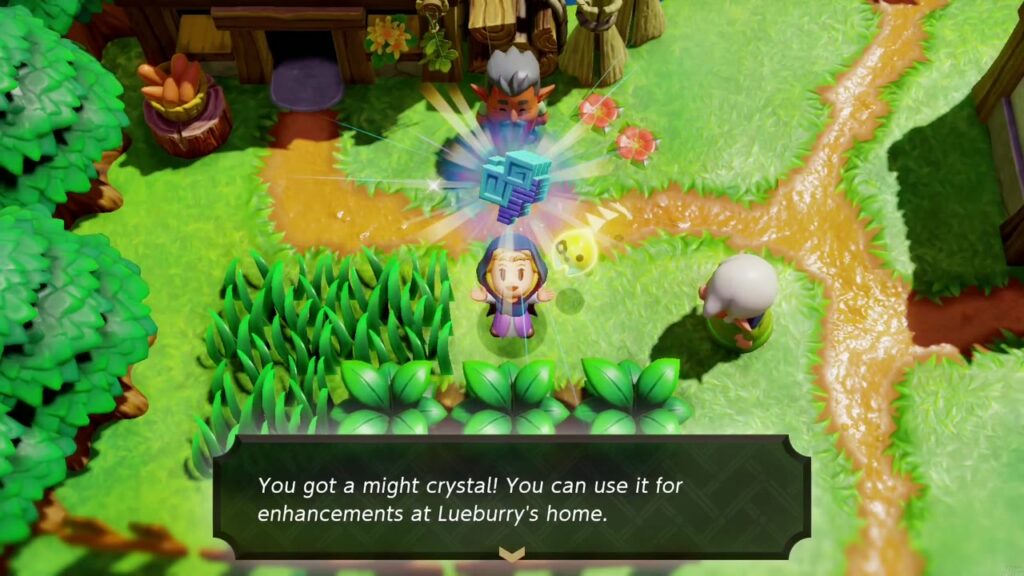 Zelda brandit le Cristal de Puissance, récompense obtenue en trouvant la Plante Volante.