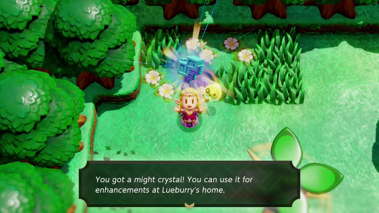 Zelda holds up a might crystal beside tall grass and flowers in a wooded clearing of Hyrule Field
