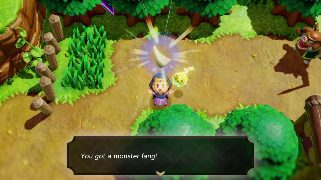 Zelda holds up a white monster fang in Suthorn Forest as the get message appears Zelda holds up a white monster fang in Suthorn Forest as the get message appears