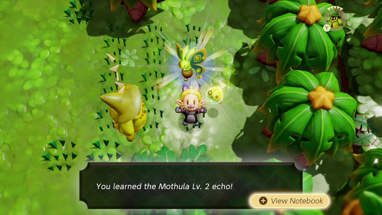 Zelda aprende o eco de Mothula Nv. 2 na densa floresta de palmeiras do sudeste dos Pântanos de Faron. Zelda aprende o eco de Mothula Nv. 2 na densa floresta de palmeiras do sudeste dos Pântanos de Faron.