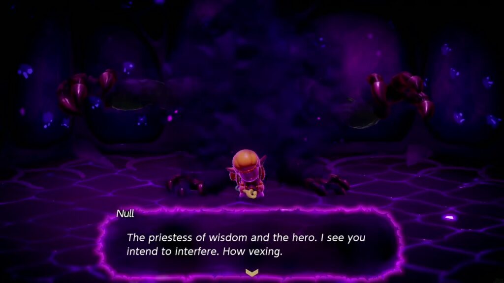 Null's Body: Final Dungeon - The Legend of Zelda: Echoes of Wisdom Walkthrough 29 Null confronts Zelda and Link in the core chamber: "The priestess of wisdom and the hero."