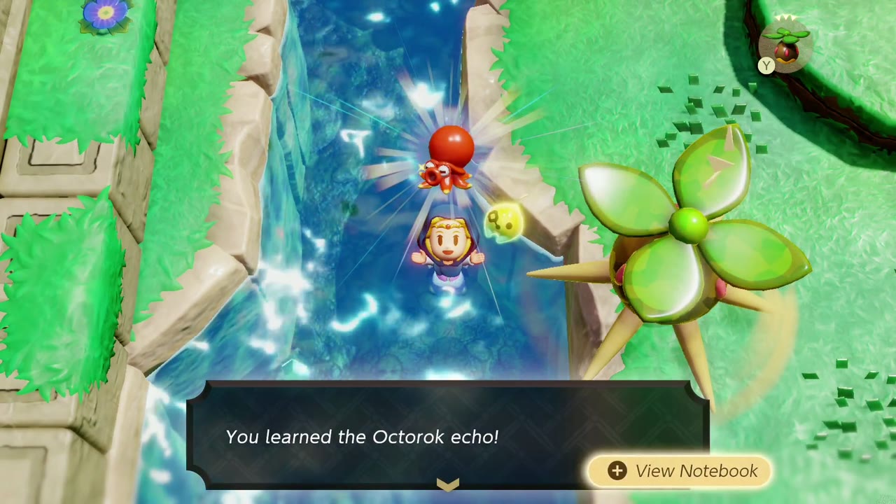 Zelda, nadando em um riacho, aprende o Octorok eco na pradaria ocidental de Suthorn Zelda, nadando em um riacho, aprende o Octorok eco na pradaria ocidental de Suthorn