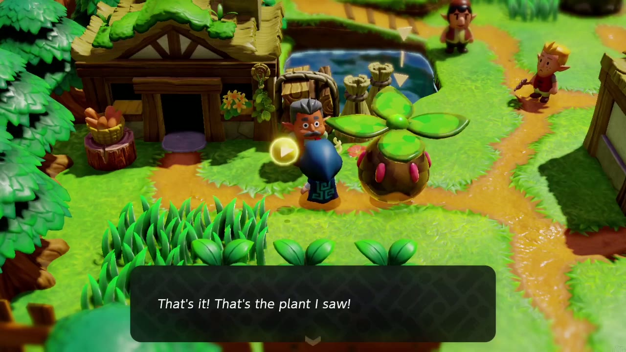 Zelda shows a Peahat echo to the villager for the Finding the Flying Plant side quest. Zelda shows a Peahat echo to the villager for the Finding the Flying Plant side quest.