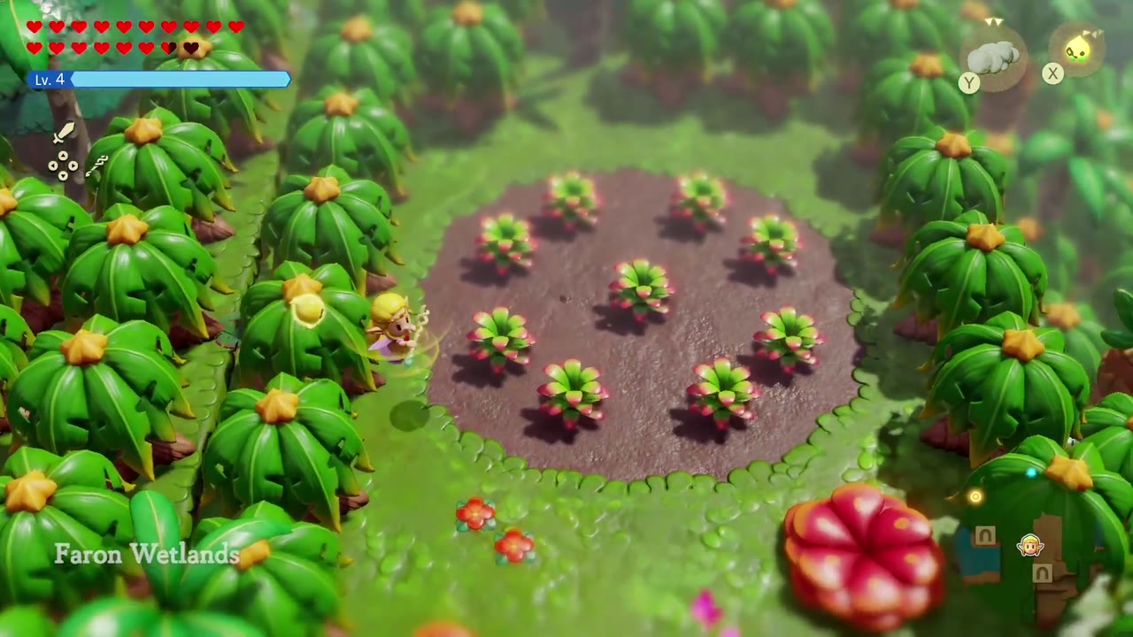 Zelda reaches a round clearing ringed with pink flowers in the Faron Wetlands jungle. Zelda reaches a round clearing ringed with pink flowers in the Faron Wetlands jungle.