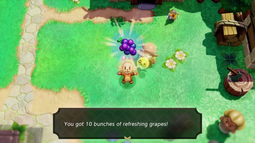 Eldin Volcano is a climbable mountain of rock terraces, lava flows and Torch Slug walls with Goron City near the top. The Eldin Volcano Trail starts right at the edge of Kakariko Village: walk north out of the village and the trail's title card appears. A short cutscene shows a rift crack spreading through the lava higher up, and Tri reckons there must be somewhere up the trail to open a rift entrance. This leg falls under the Lands of the Goddesses main quest.