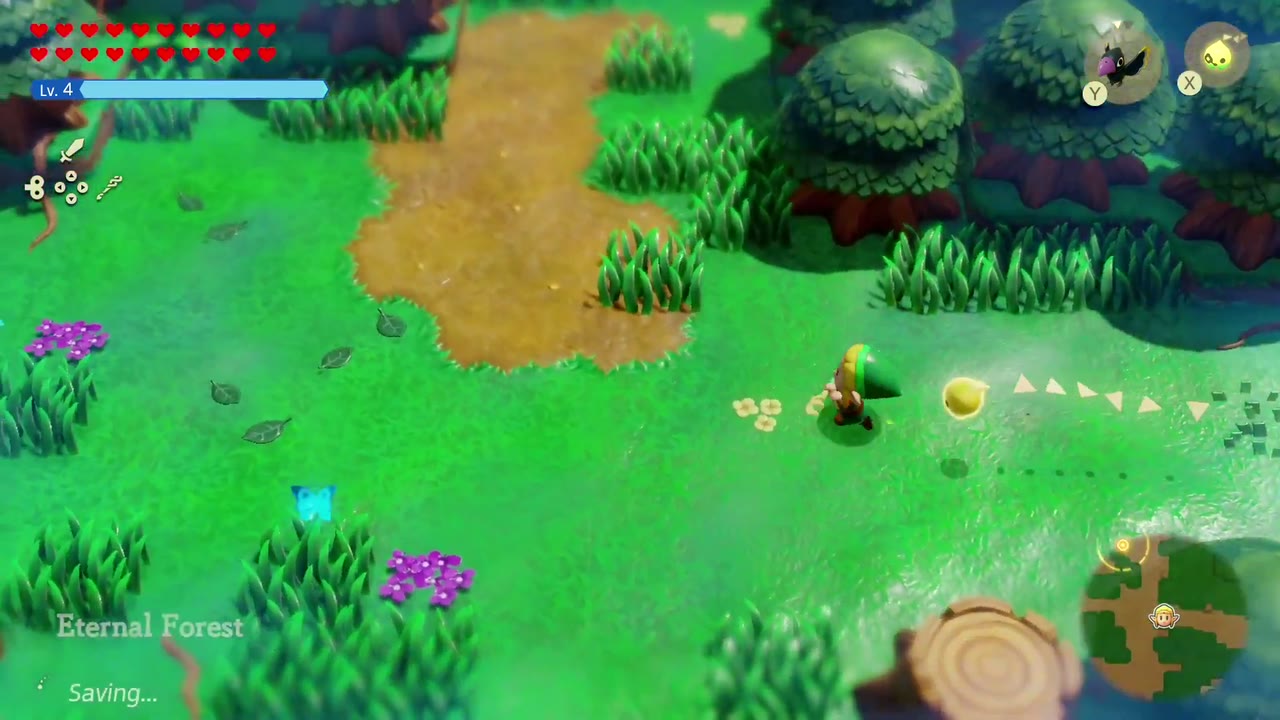 The Eternal Forest - The Legend of Zelda: Echoes of Wisdom Walkthrough 93 Zelda arrives back in the misty Eternal Forest, area name on screen, for the last free-roam stop.