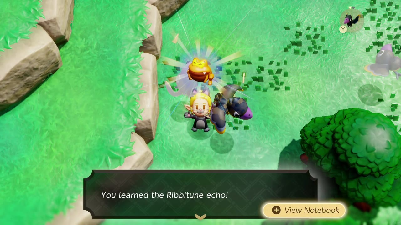 Zelda aprende o eco de Ribbitune entre penhascos gramados ao lado do rio em Hyrule Campo Zelda aprende o eco de Ribbitune entre penhascos gramados ao lado do rio em Hyrule Campo
