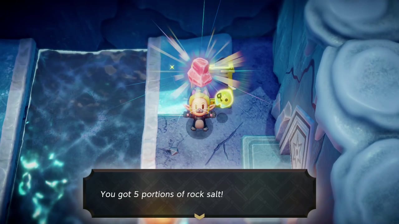 Lanayru Temple Dungeon - The Legend of Zelda: Echoes of Wisdom Walkthrough 6 Zelda holds up Rock Salt with the box "You got 5 portions of rock salt!" in the Lanayru Temple.