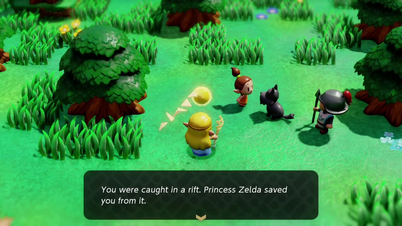 Back in Hyrule Field, the soldier tells Romi that Princess Zelda saved her from the rift. Back in Hyrule Field, the soldier tells Romi that Princess Zelda saved her from the rift.