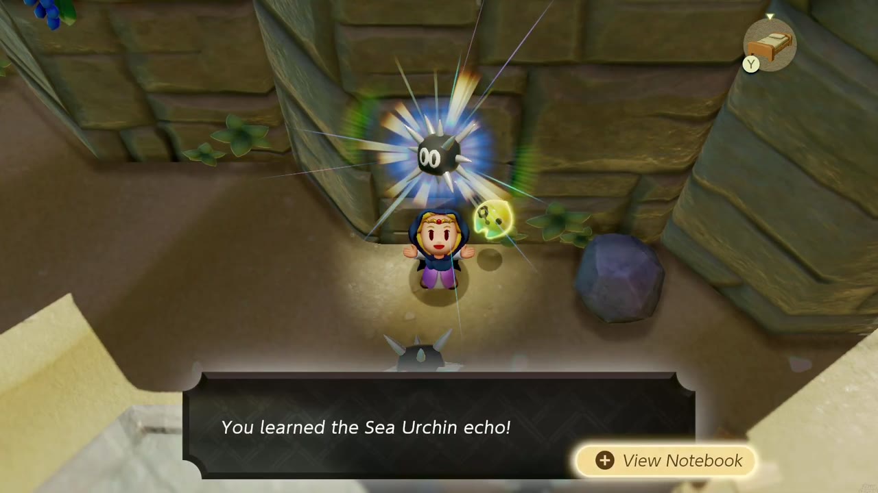Zelda aprende o eco do ouriço-do-mar entre os ouriços espinhosos nas areias da Praia de Suthorn. Zelda aprende o eco do ouriço-do-mar entre os ouriços espinhosos nas areias da Praia de Suthorn.