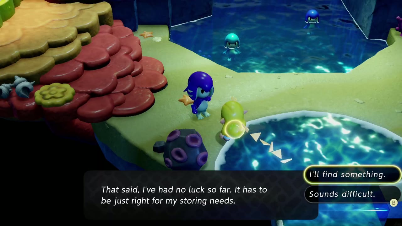 The Sea Zora collector in Sea Zora Village asks Zelda for a secure place to store her treasures. The Sea Zora collector in Sea Zora Village asks Zelda for a secure place to store her treasures.