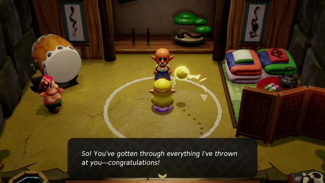 Shisho congratulates Zelda for getting through every training he has thrown at her Shisho congratulates Zelda for getting through every training he has thrown at her