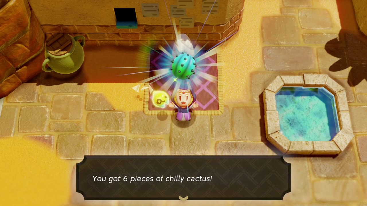 Zelda holds up 6 pieces of chilly cactus, the reward for Gerudo Tag Training. Zelda holds up 6 pieces of chilly cactus, the reward for Gerudo Tag Training.