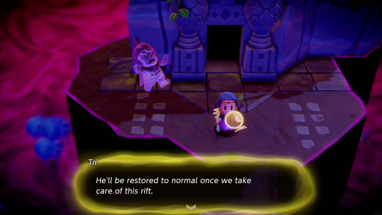 The Jabul Waters Rift - The Legend of Zelda: Echoes of Wisdom Walkthrough 83 Tri speaks beside a stilled Zora at the entrance of Jabul Ruins in the rift.