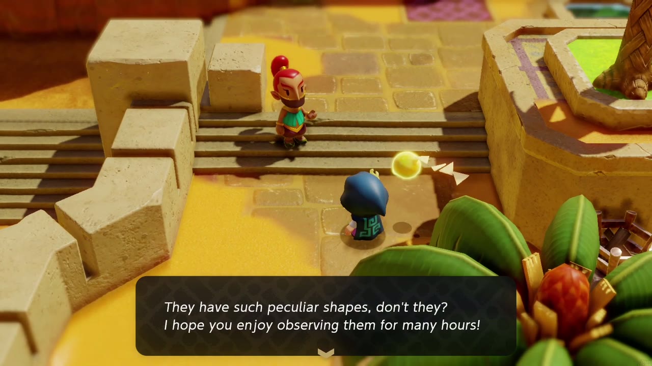 Elusive Tumbleweeds - The Legend of Zelda: Echoes of Wisdom Walkthrough 14 The Gerudo hopes Zelda enjoys observing the crystals' peculiar shapes for many hours.