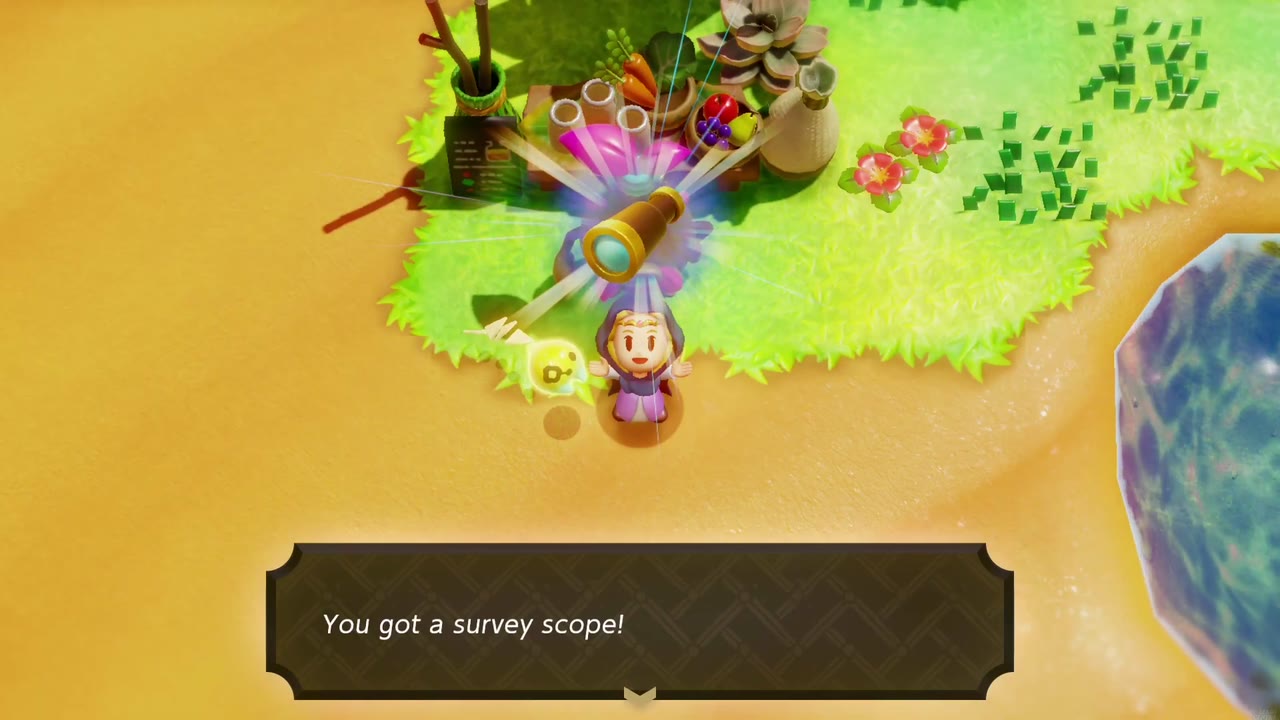 Zelda holds up the Survey Scope beside the Business Scrub's Smoothie Shop at the Gerudo Desert oasis Zelda holds up the Survey Scope beside the Business Scrub's Smoothie Shop at the Gerudo Desert oasis