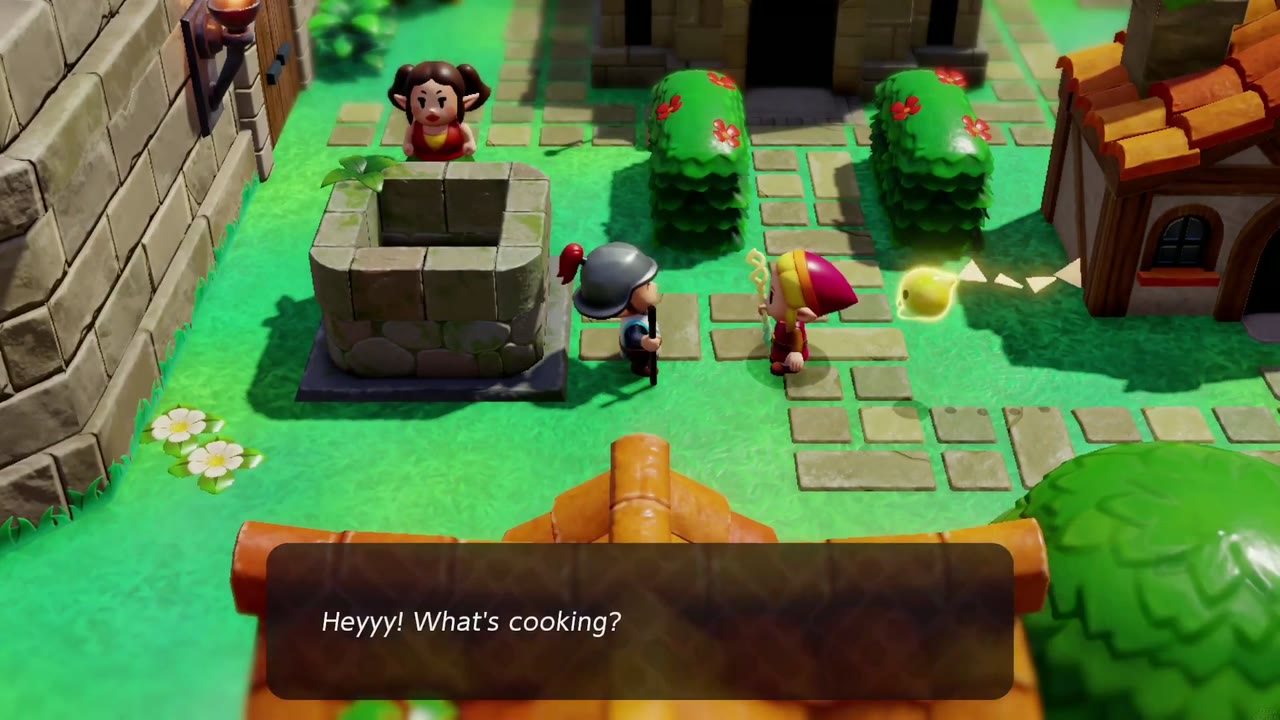 One Soldier Too Many: Zelda questions the suspicious soldier standing by the Castle Town well. One Soldier Too Many: Zelda questions the suspicious soldier standing by the Castle Town well.