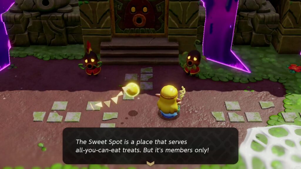 A Rift in the Faron Wetlands - The Legend of Zelda: Echoes of Wisdom Walkthrough 12 A Sweet Spot guard explains it serves all-you-can-eat treats but is members only.