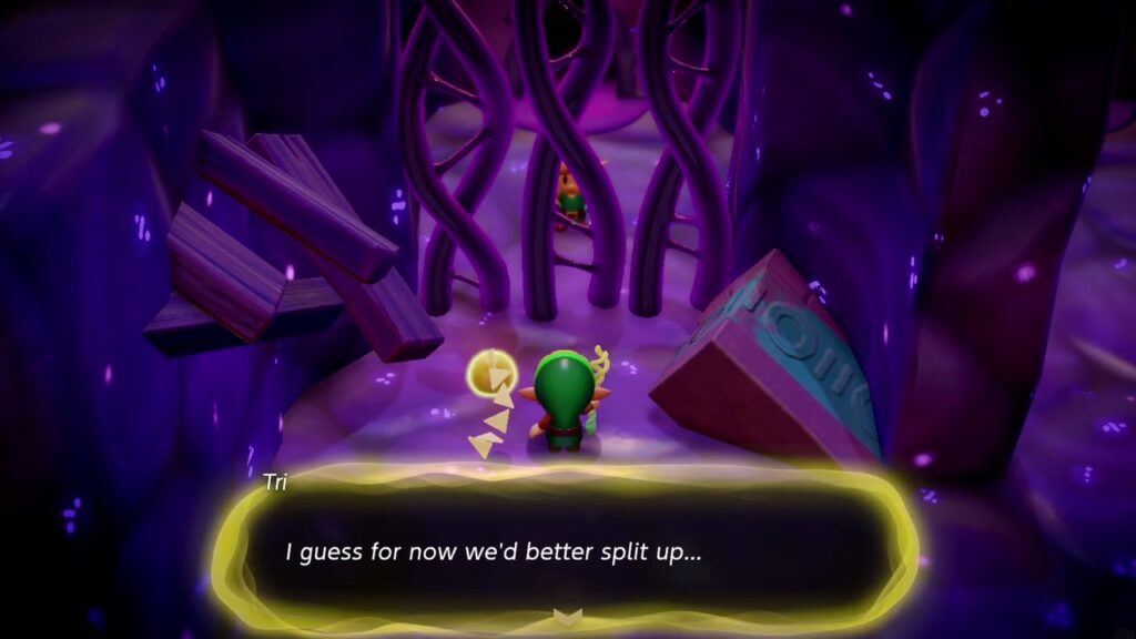 Null's Body: Final Dungeon - The Legend of Zelda: Echoes of Wisdom Walkthrough 11 Tentacles bar the gate ahead in Null's Body and Tri says "I guess for now we'd better split up."