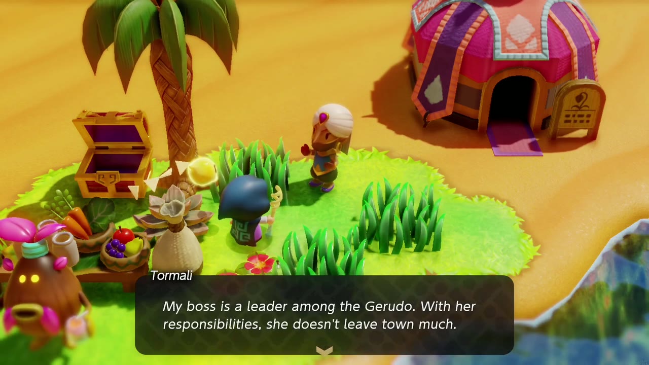 Tormali explains her boss is a leader among the Gerudo who doesn't leave town much. Tormali explains her boss is a leader among the Gerudo who doesn't leave town much.