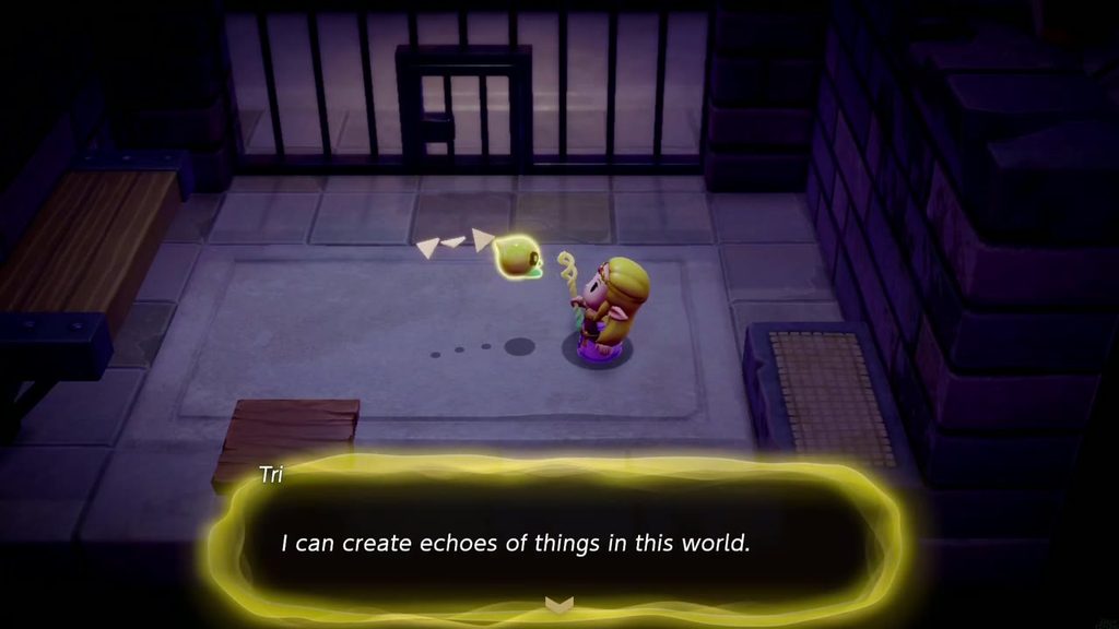Tri explains to Zelda that the Tri Rod can create echoes of things in this world