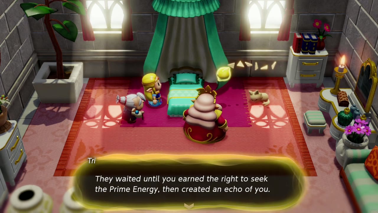 The Eternal Forest - The Legend of Zelda: Echoes of Wisdom Walkthrough 10 Tri explains Null waited for Zelda to earn the right to seek the Prime Energy, then made an echo of her.