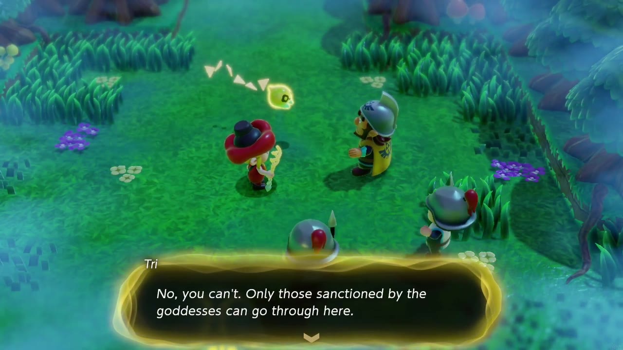 The Eternal Forest - The Legend of Zelda: Echoes of Wisdom Walkthrough 46 Tri explains that only those sanctioned by the goddesses can go through the new path.
