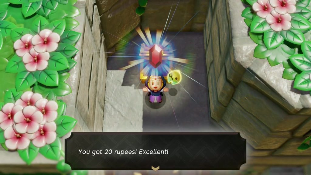 The Mysterious Rifts in Suthorn Forest - The Legend of Zelda: Echoes of Wisdom Walkthrough 6 Zelda holds up a red rupee from a chest on a Suthorn Beach ledge: You got 20 rupees