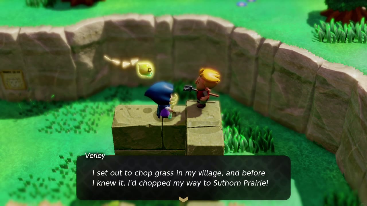 Up a Wall - The Legend of Zelda: Echoes of Wisdom Walkthrough 7 On the blocks, Verley explains he chopped grass all the way to Suthorn Prairie.