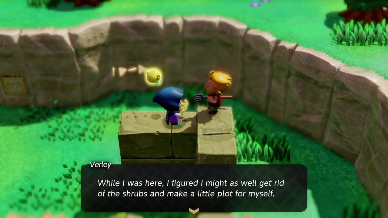 Up a Wall - The Legend of Zelda: Echoes of Wisdom Walkthrough 8 Verley says he decided to get rid of the shrubs and make a little plot for himself.