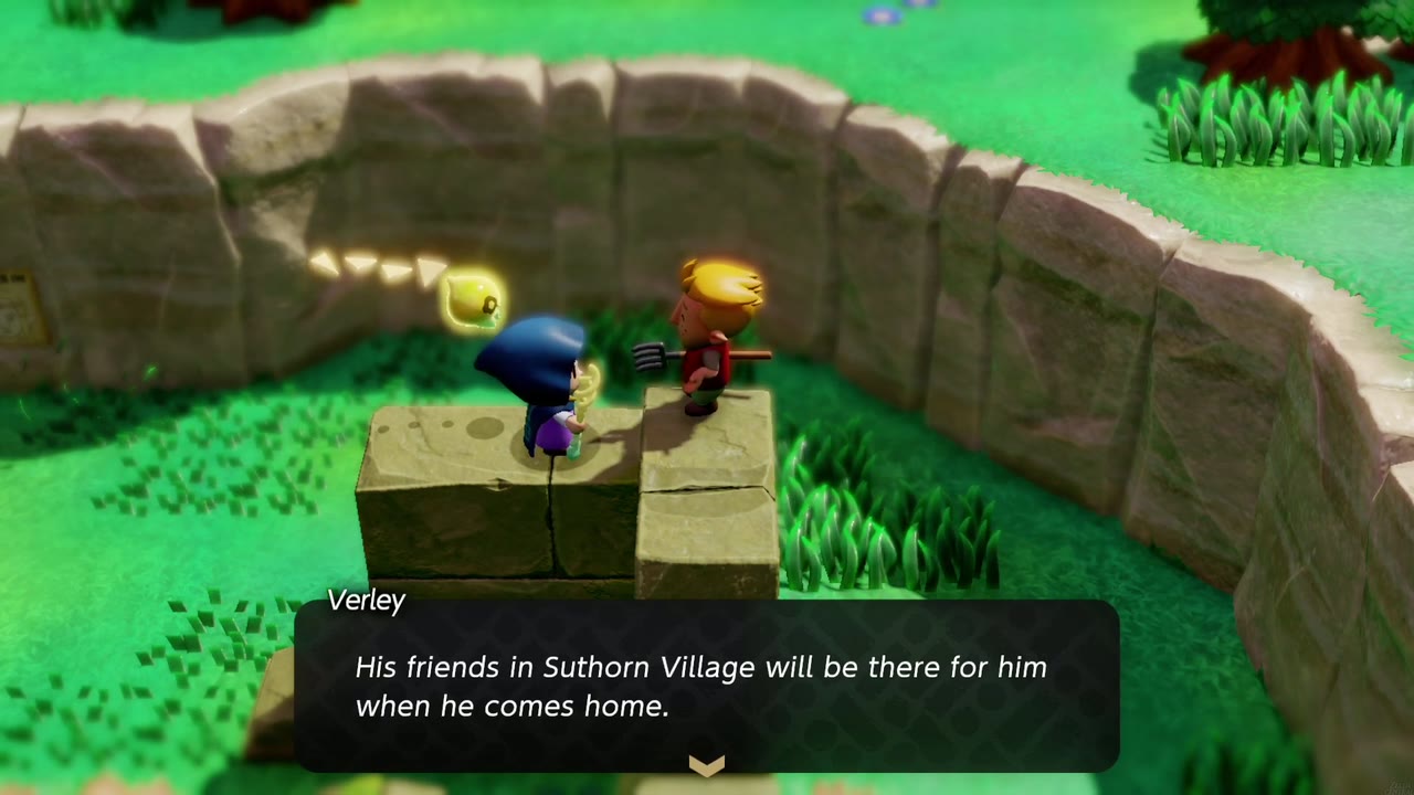 Up a Wall - The Legend of Zelda: Echoes of Wisdom Walkthrough 12 Verley's message for Link: his friends in Suthorn Village will be there for him when he comes home.
