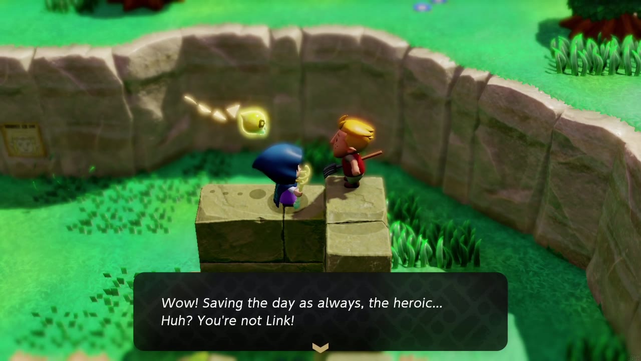 Up a Wall - The Legend of Zelda: Echoes of Wisdom Walkthrough 6 On the blocks, Verley says "Saving the day as always, the heroic... Huh? You're not Link!"