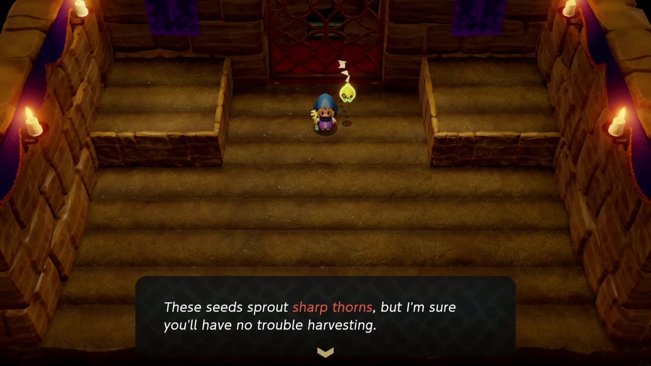 Get Rich Quick! - The Legend of Zelda: Echoes of Wisdom Walkthrough 11 In the dim basement field, the researcher warns that vibrant seeds sprout sharp thorns.