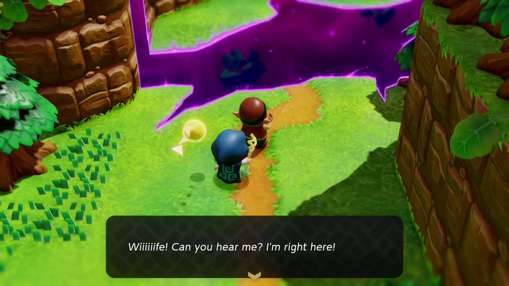 The Mysterious Rifts in Suthorn Forest - The Legend of Zelda: Echoes of Wisdom Walkthrough 18 A villager stands at the edge of a huge rift in Suthorn Forest calling for his wife