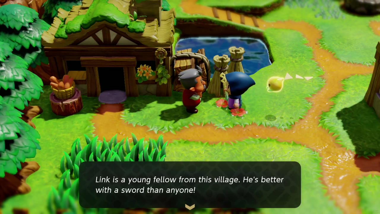 The Mysterious Rifts in Suthorn Forest - The Legend of Zelda: Echoes of Wisdom Walkthrough 12 A Suthorn villager explains that Link is a young swordsman from the village
