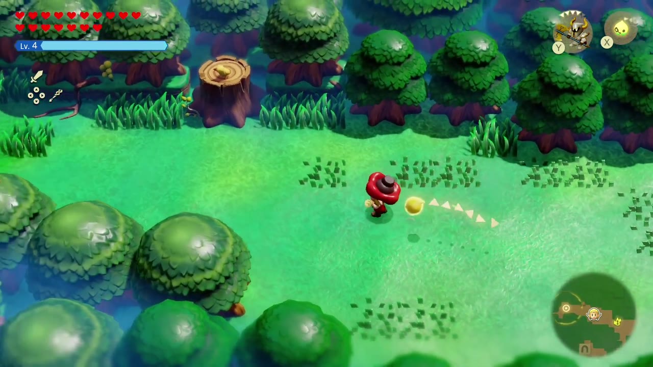The Eternal Forest - The Legend of Zelda: Echoes of Wisdom Walkthrough 13 Zelda walks west across the clearing toward the misty treeline of the Eternal Forest.