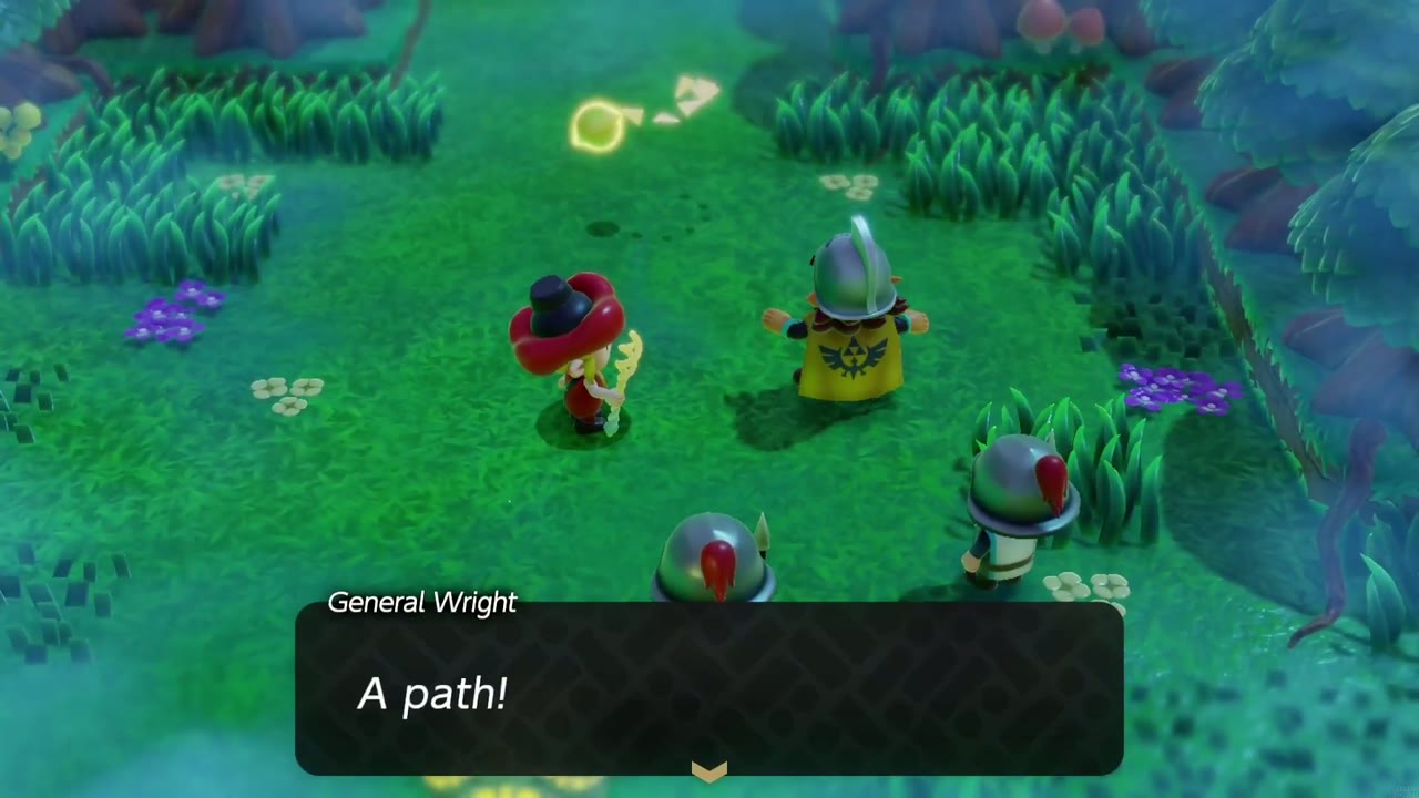 The Eternal Forest - The Legend of Zelda: Echoes of Wisdom Walkthrough 45 General Wright and his soldiers join Zelda at the newly opened path, exclaiming "A path!"