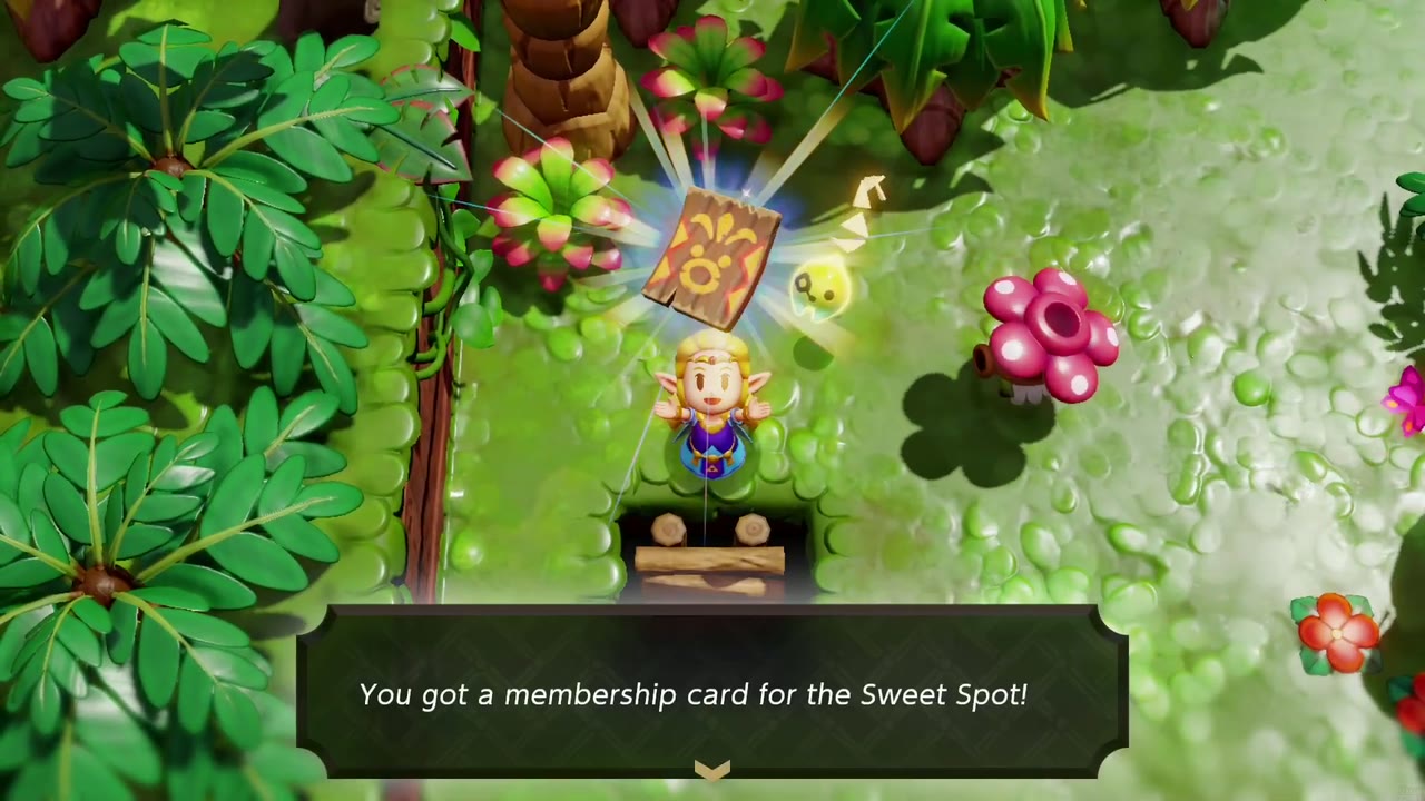 Zelda holds up Blossu's card in Faron Wetlands: "You got a membership card for the Sweet Spot!" Zelda holds up Blossu's card in Faron Wetlands: "You got a membership card for the Sweet Spot!"