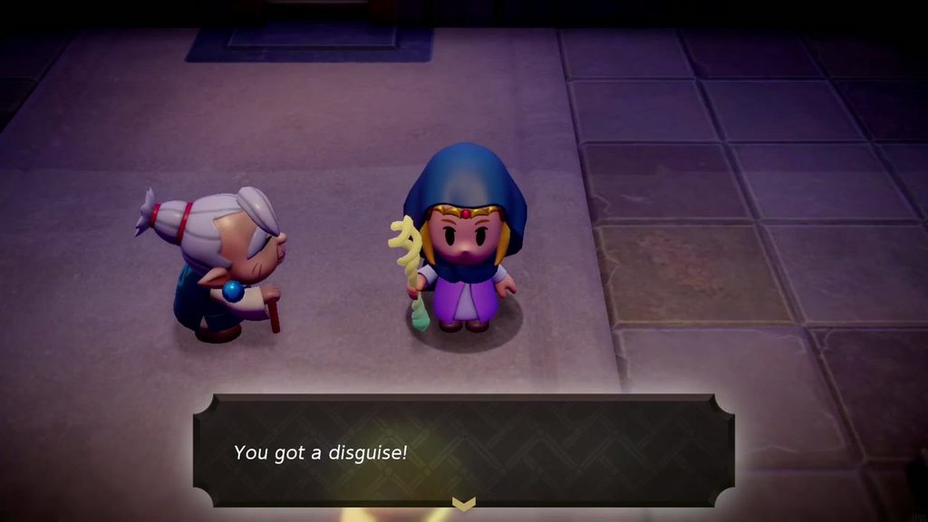 Zelda in her hooded cloak beside Impa as the game announces You got a disguise