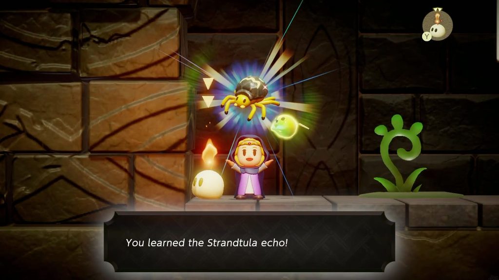 Zelda learns the Strandtula echo after defeating the spider in the side-scrolling cave