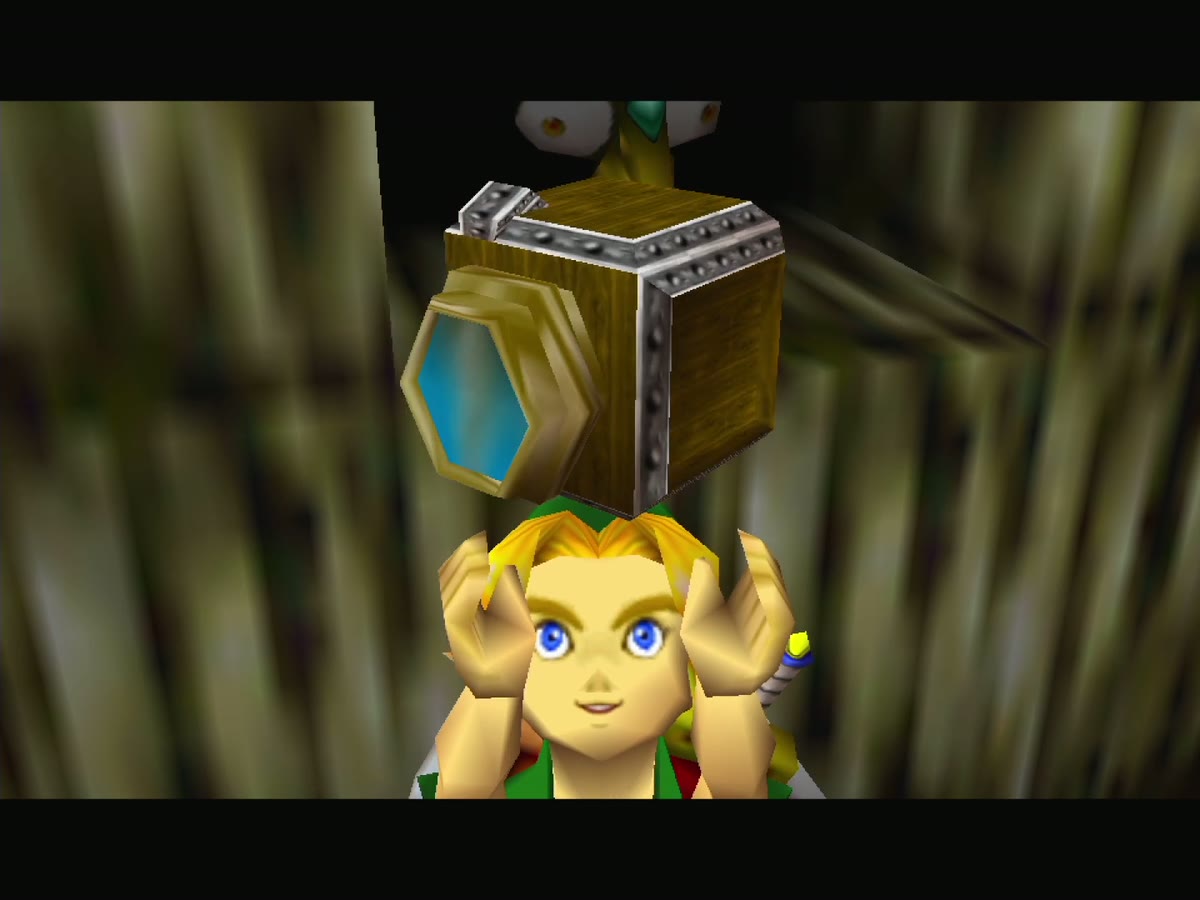 Link holds up the Pictograph Box given by Koume before the tour.