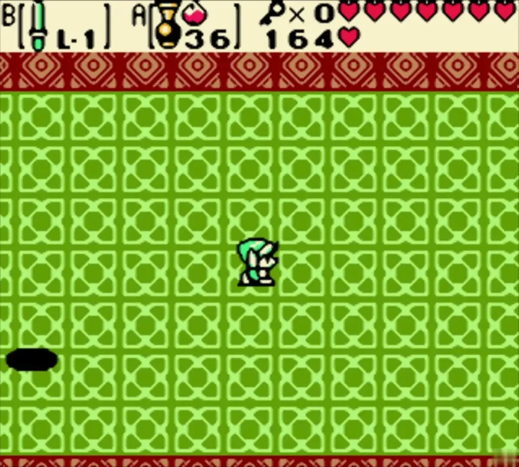 A Shadow Hag shadow blob on the green floor between hits