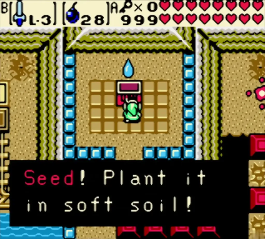 Link holding up a Gasha Seed with the Seed! Plant it in soft soil! box in Hero's Cave Link holding up a Gasha Seed with the Seed! Plant it in soft soil! box in Hero's Cave