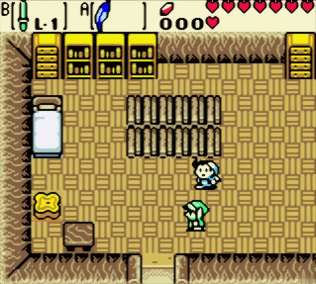 Link and Rafton standing in the raft builder's house Link and Rafton standing in the raft builder's house