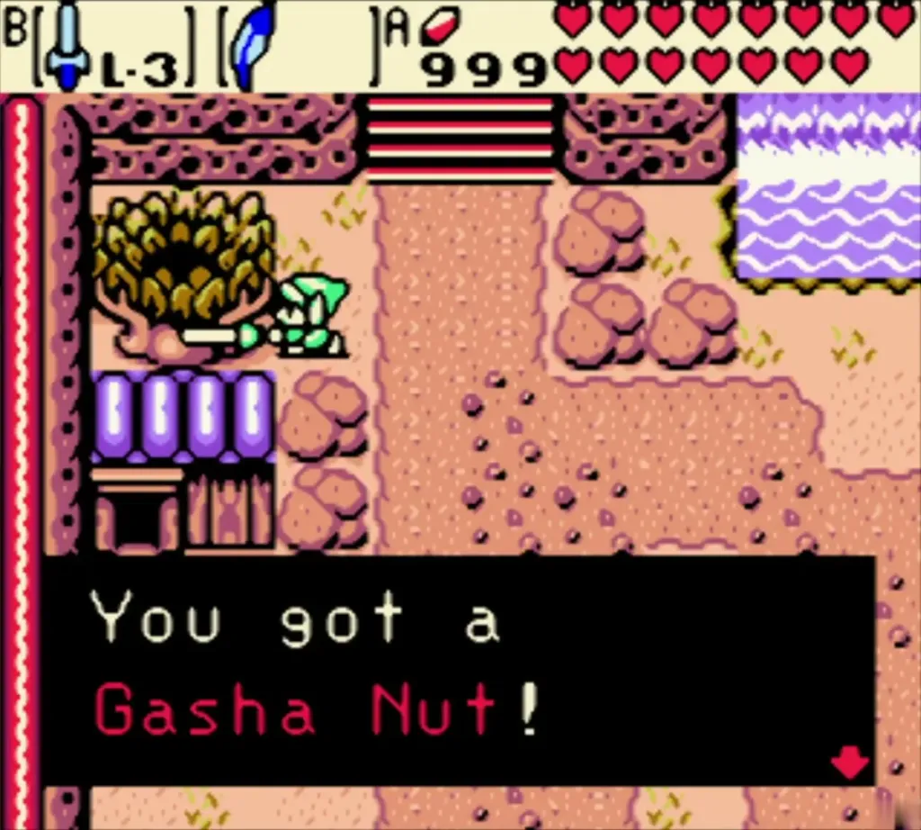 Link beside a soft soil bush by purple posts with the box "You got a Gasha Nut!" Link beside a soft soil bush by purple posts with the box "You got a Gasha Nut!"