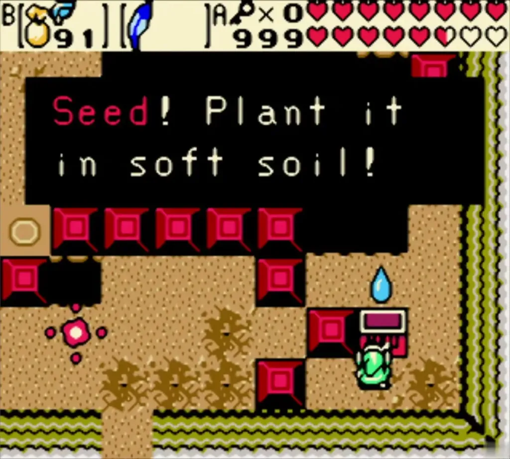 Link by the pedestal chest with the box "Seed! Plant it in soft soil!" Link by the pedestal chest with the box "Seed! Plant it in soft soil!"